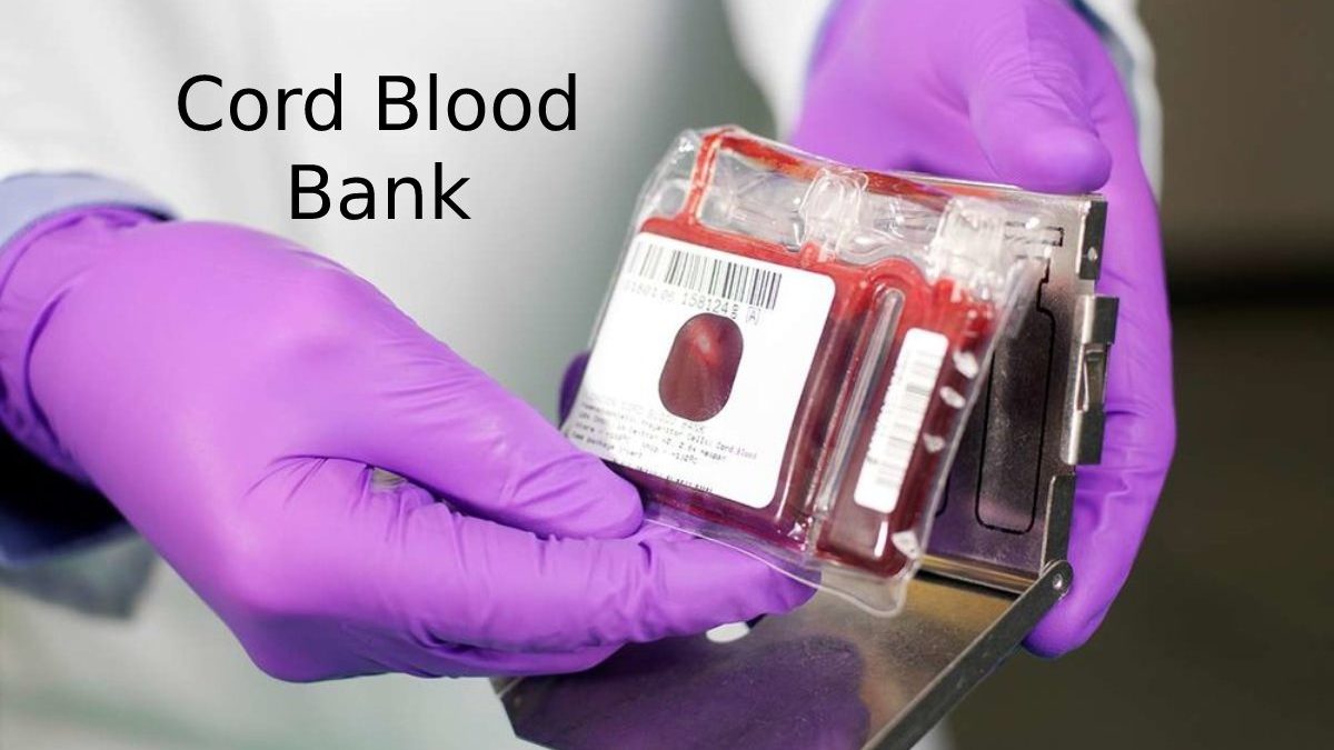 What is the Cord Blood Bank? – Uses, Stored, and More