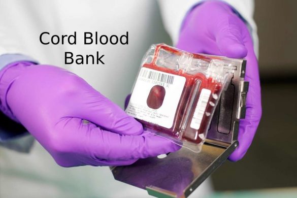 Cord Blood Bank