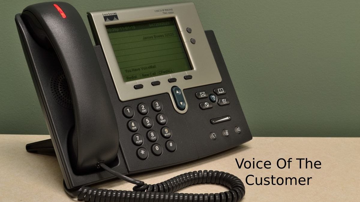 What is Voice of the Customer (VOC)? – Business Landscape, and More