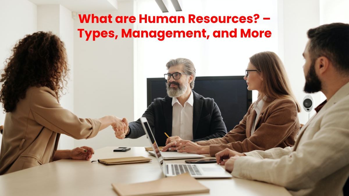 What are Human Resources? – Types, Management, and More