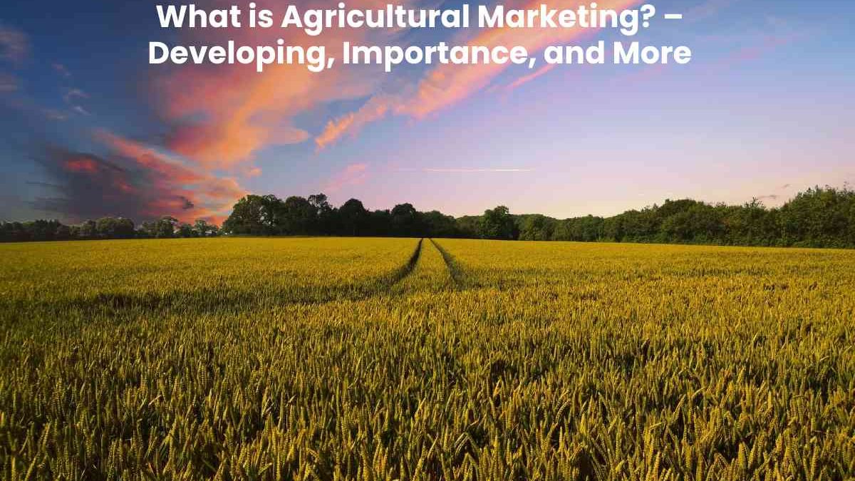 What is Agricultural Marketing? – Developing, Importance, and More