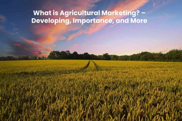 What is Agricultural Marketing_ – Developing, Importance, and More