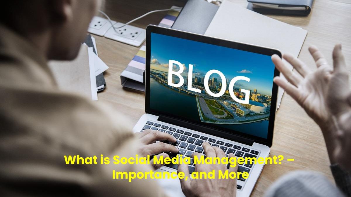 What is Social Media Management? –  Importance, and More