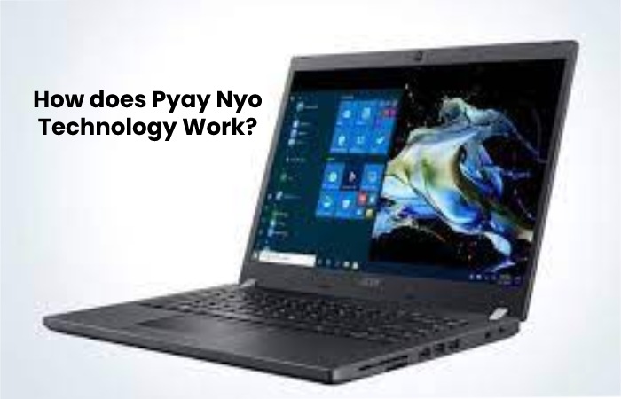How does Pyay Nyo Technology Work_