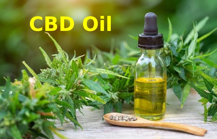 CBD Oil