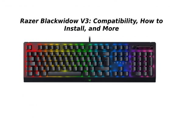 Razer Blackwidow V3_ Compatibility, How to Install, and More