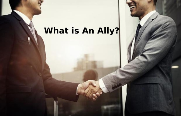 What is An Ally_