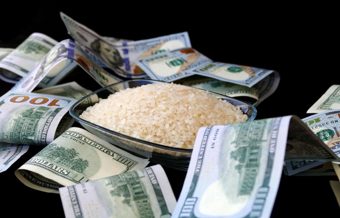 Rice Income Insurance Money