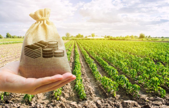 money for agricultural income
