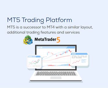 MT5