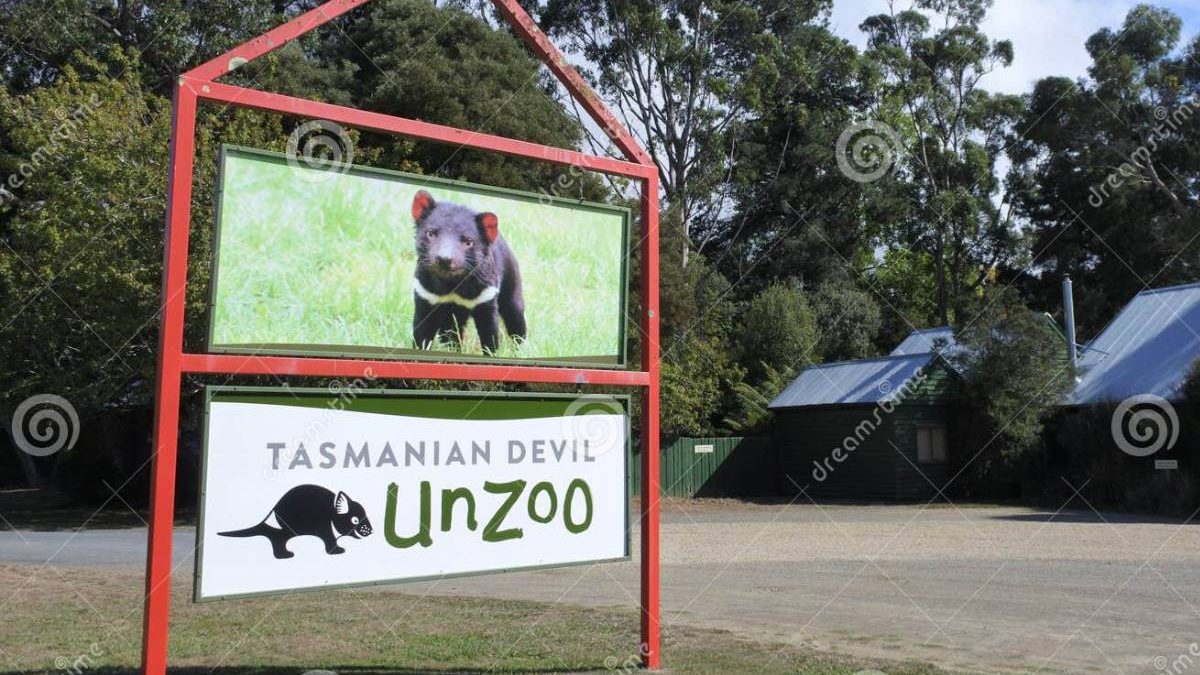 comida del sudeste visita guiada privada con el demonio de tasmania unzoo