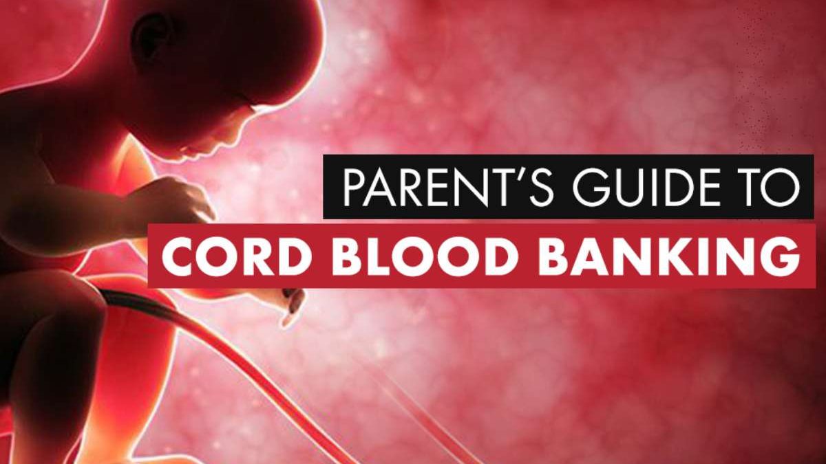What is the Cord Blood Bank? – Uses, Stored, and More